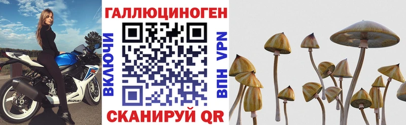 Псилоцибиновые грибы MAGIC MUSHROOMS  Салаир 